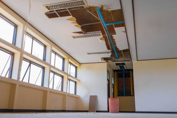 Best Commercial water damage restoration  in Kodi Station, AK