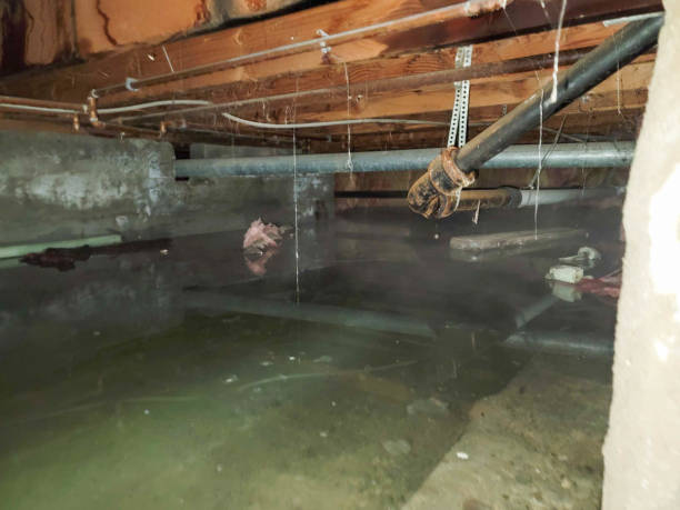 Water damage restoration insurance claims in AK