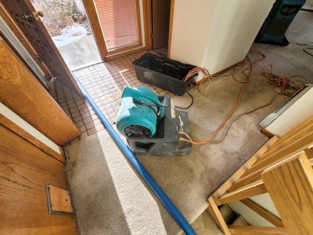 Water damage restoration experts in AK