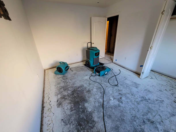 Carpet water damage restoration in AK