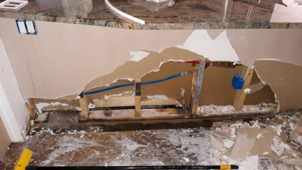 Best Professional water damage repair  in Kodi Station, AK